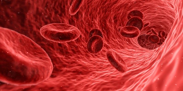 Biotest Wichtiger Meilenstein Erreicht Aktie Legt Vorborslich Kraftig Zu Kapitalmarktexperten De